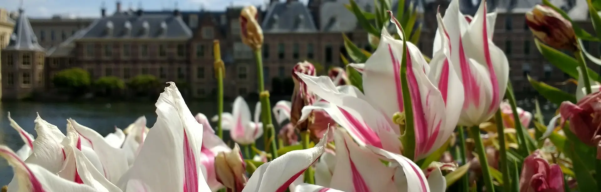 Besluit Tarieven Ambtshandelingen Gerechtsdeurwaarders